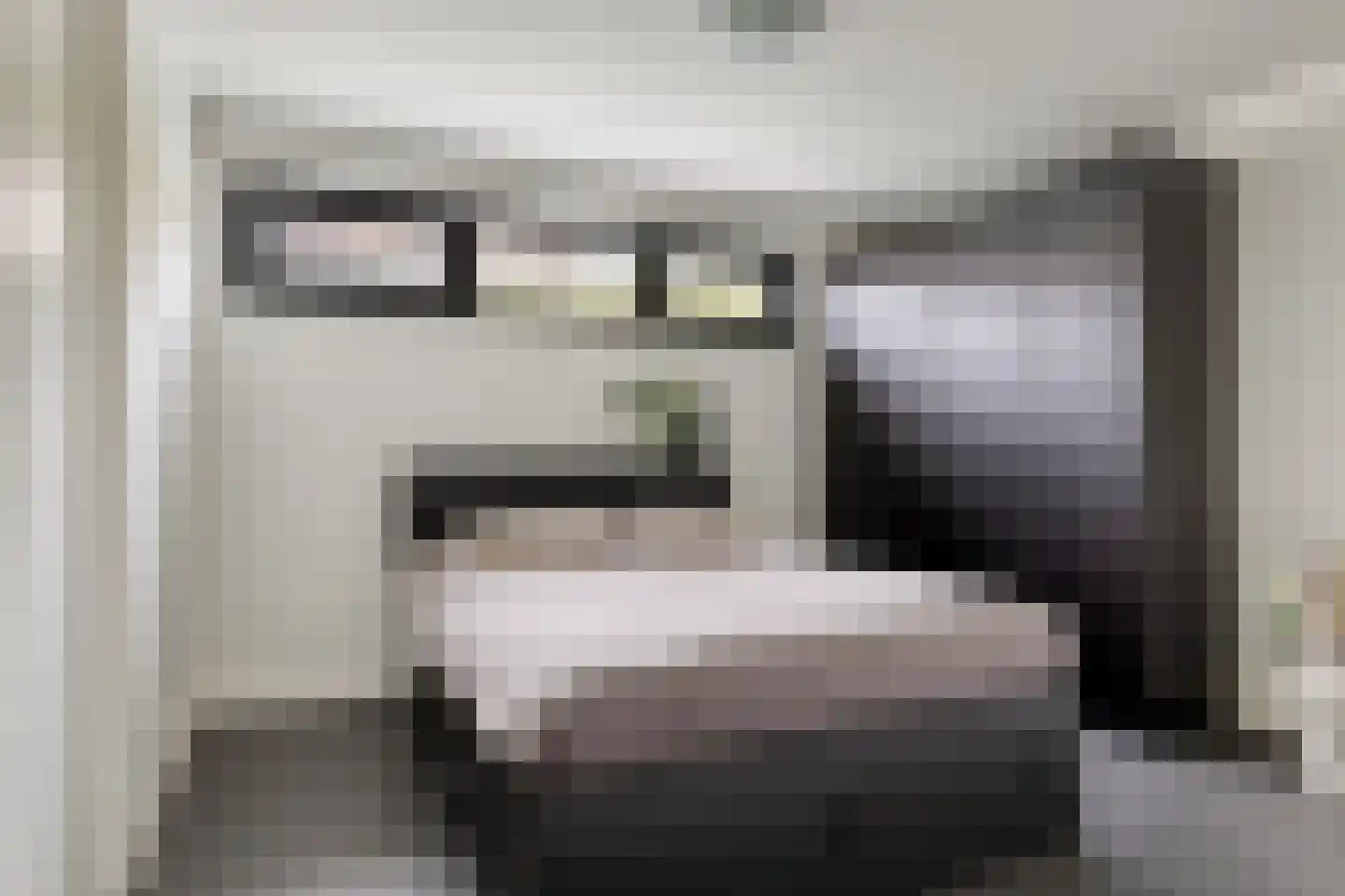 Piekenier 1 Lierop thumbnail 24
