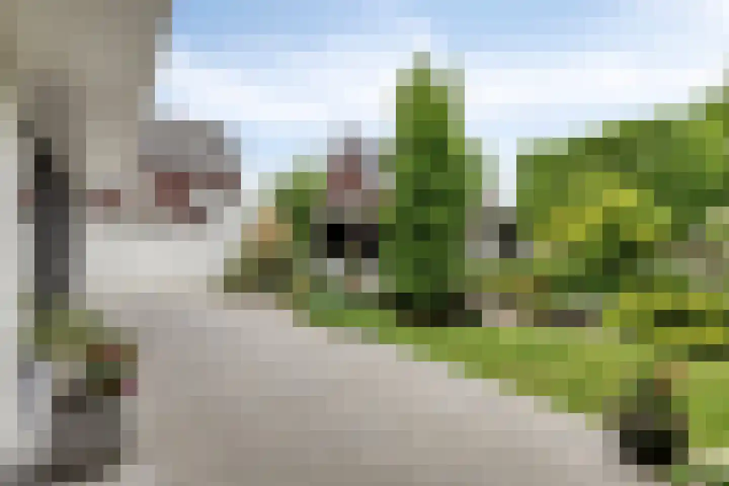 Piekenier 1 Lierop thumbnail 36
