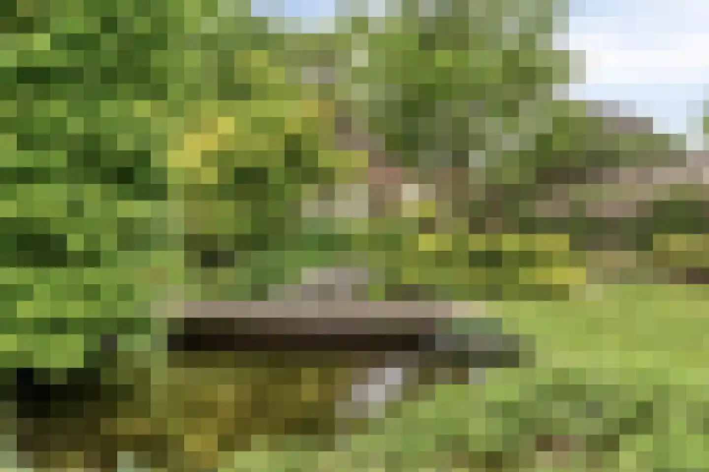 Piekenier 1 Lierop thumbnail 39