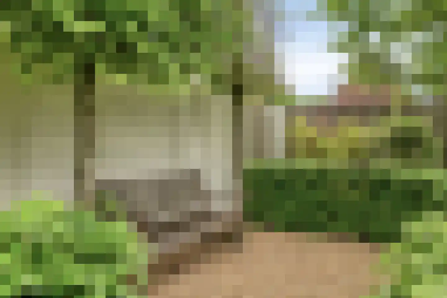 Piekenier 1 Lierop thumbnail 41