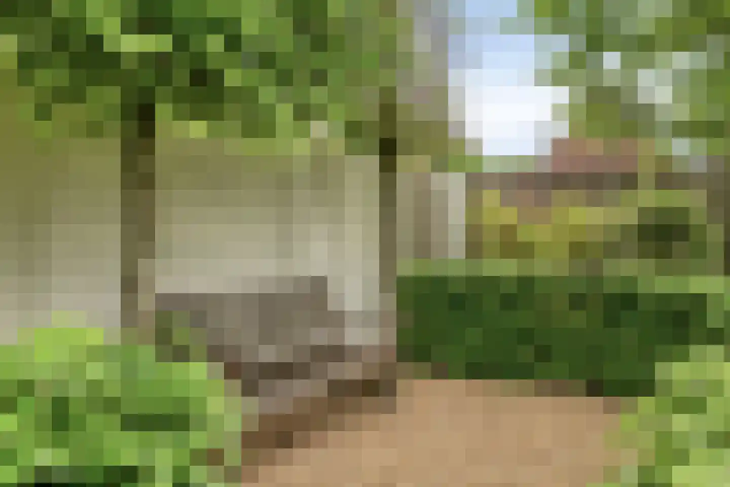 Piekenier 1 Lierop thumbnail 41