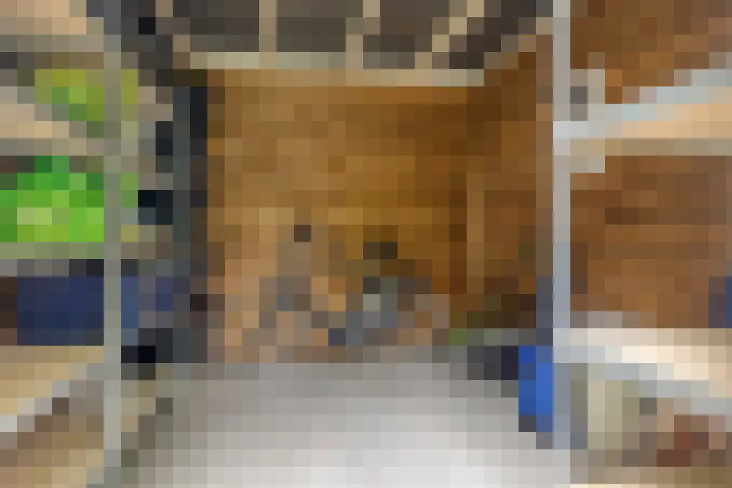 Piekenier 1 Lierop thumbnail 43