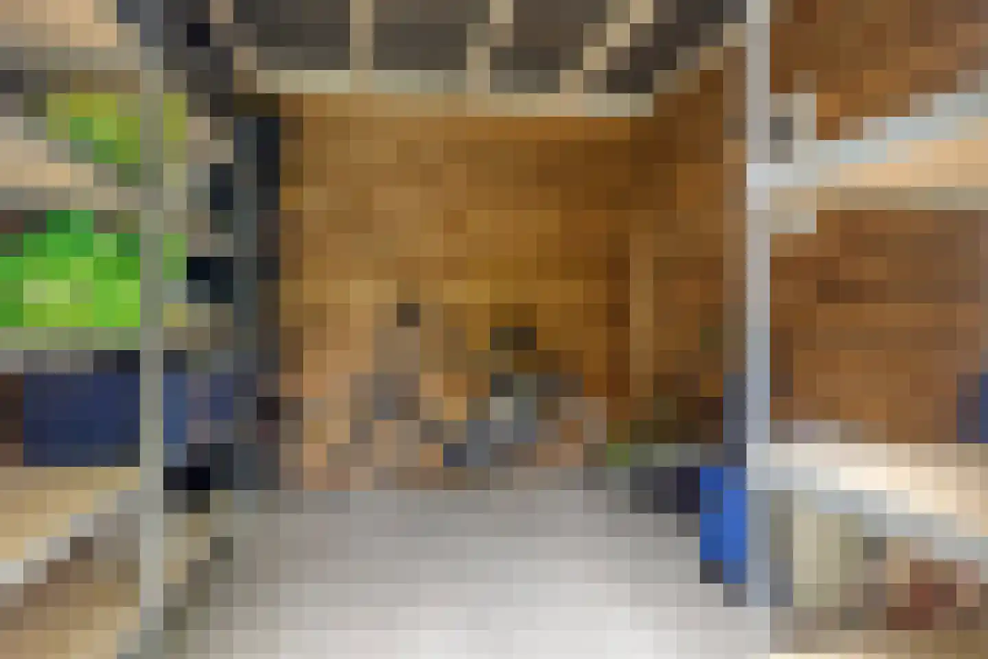 Piekenier 1 Lierop thumbnail 43