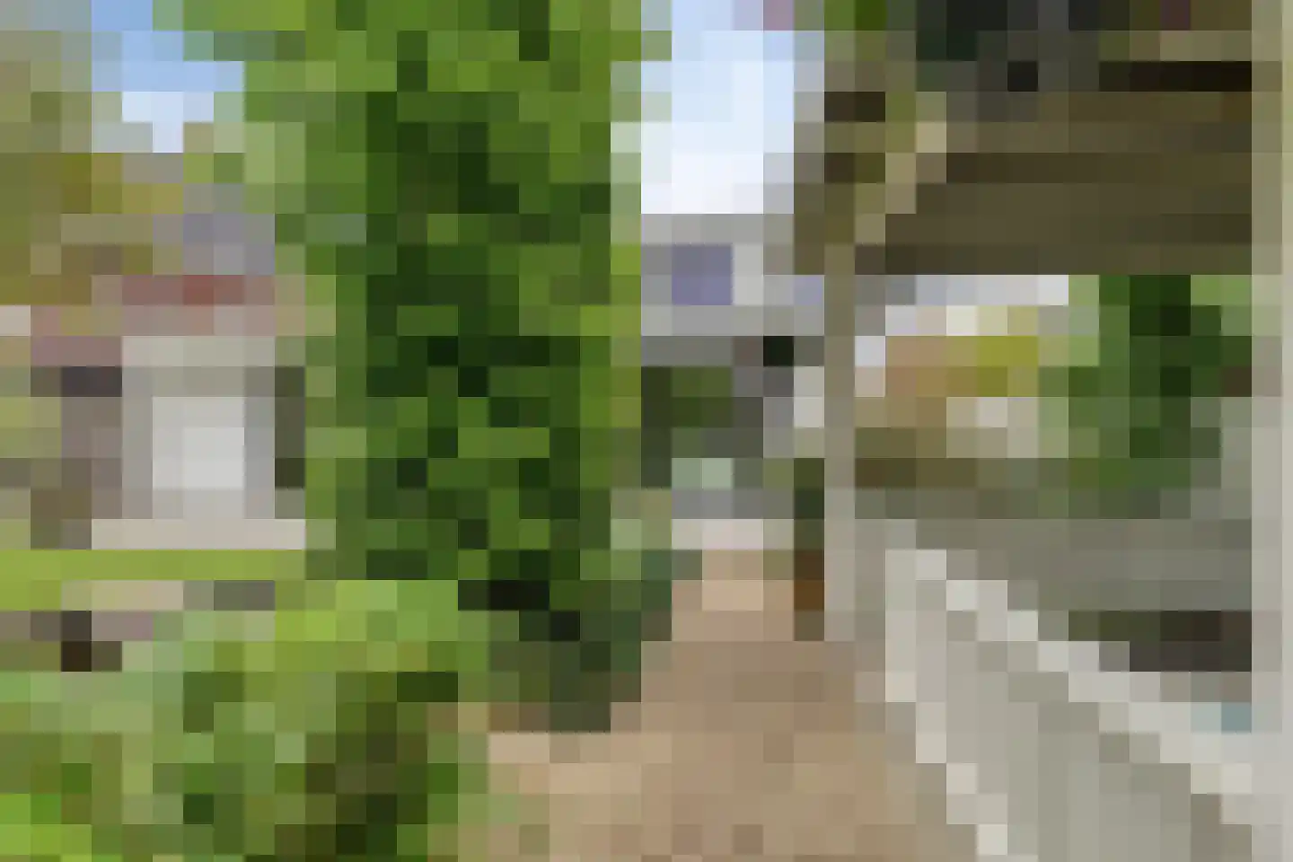 Piekenier 1 Lierop thumbnail 44
