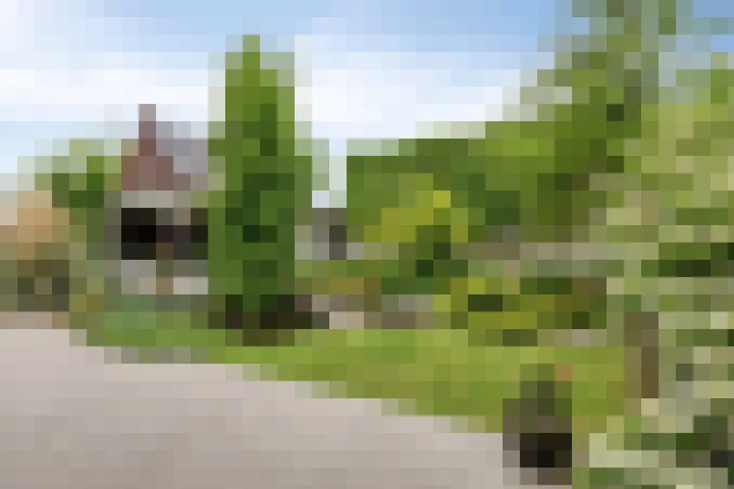 Piekenier 1 Lierop thumbnail 5