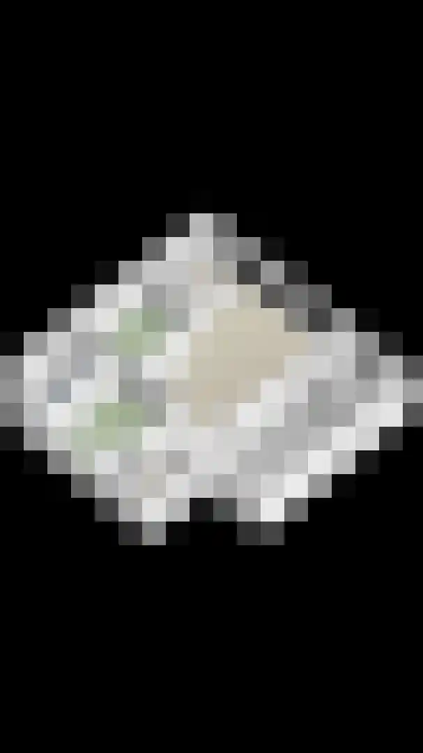 Piekenier 1 Lierop thumbnail 52