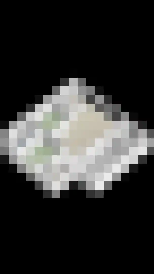 Piekenier 1 Lierop thumbnail 52