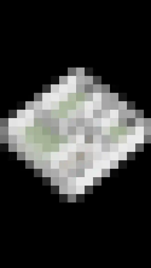 Piekenier 1 Lierop thumbnail 53