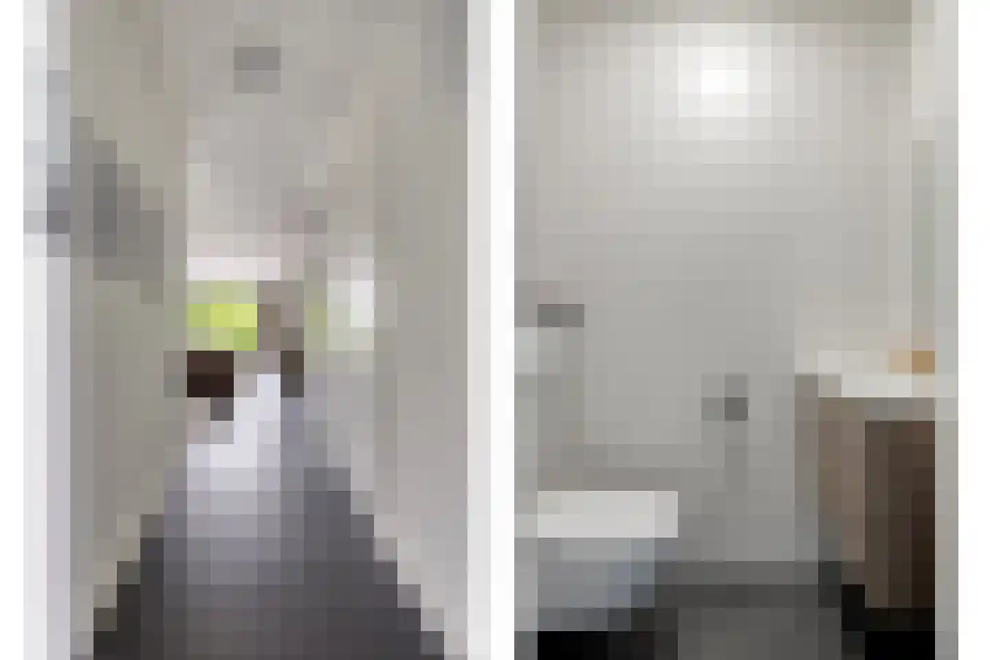Piekenier 1 Lierop thumbnail 8