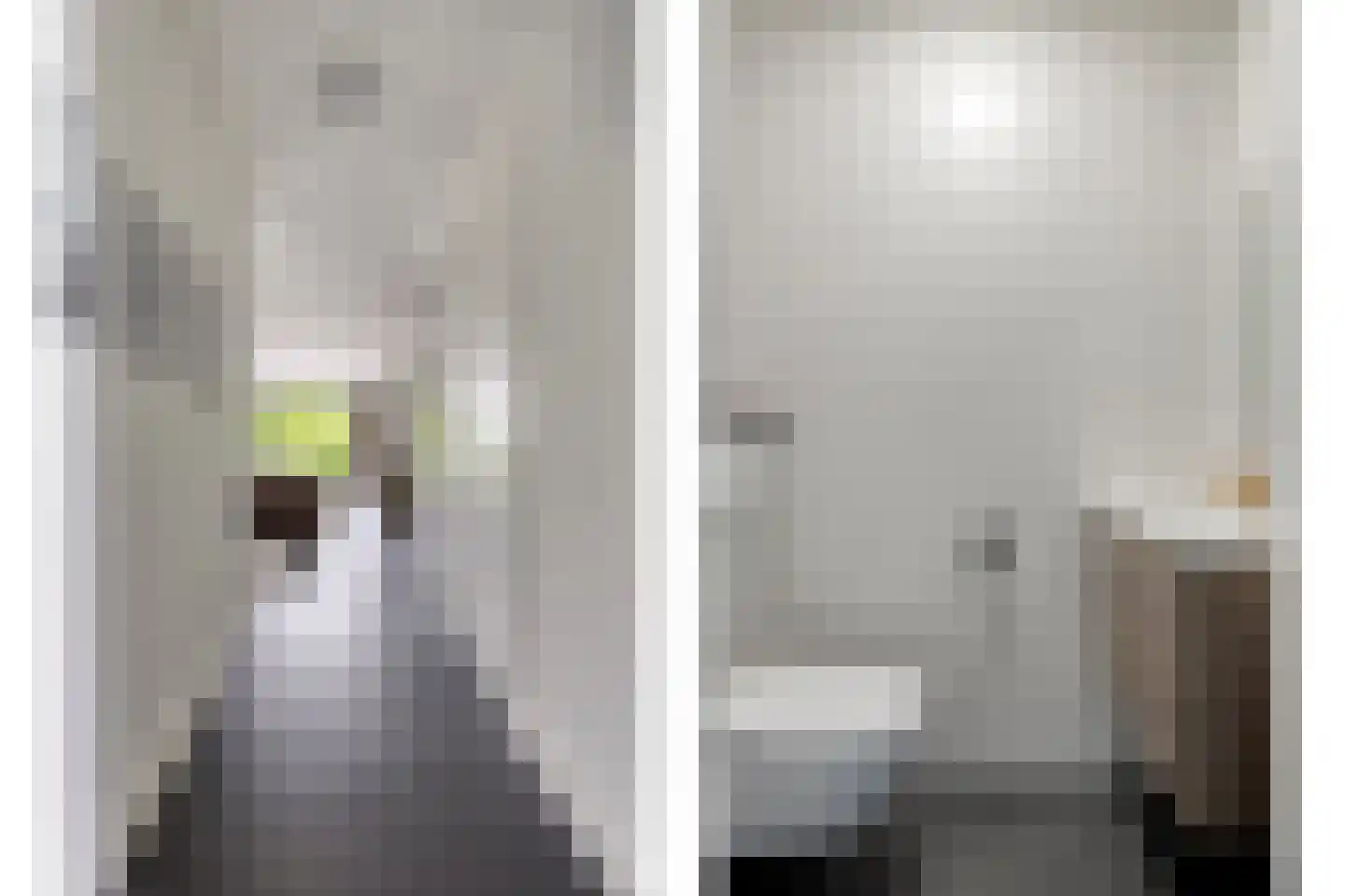 Piekenier 1 Lierop thumbnail 8