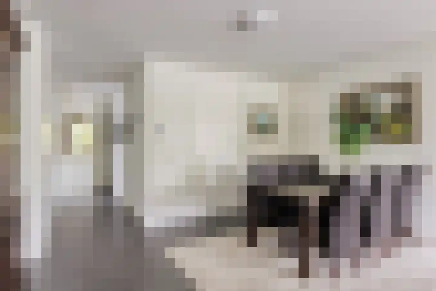 Piekenier 1 Lierop thumbnail 9