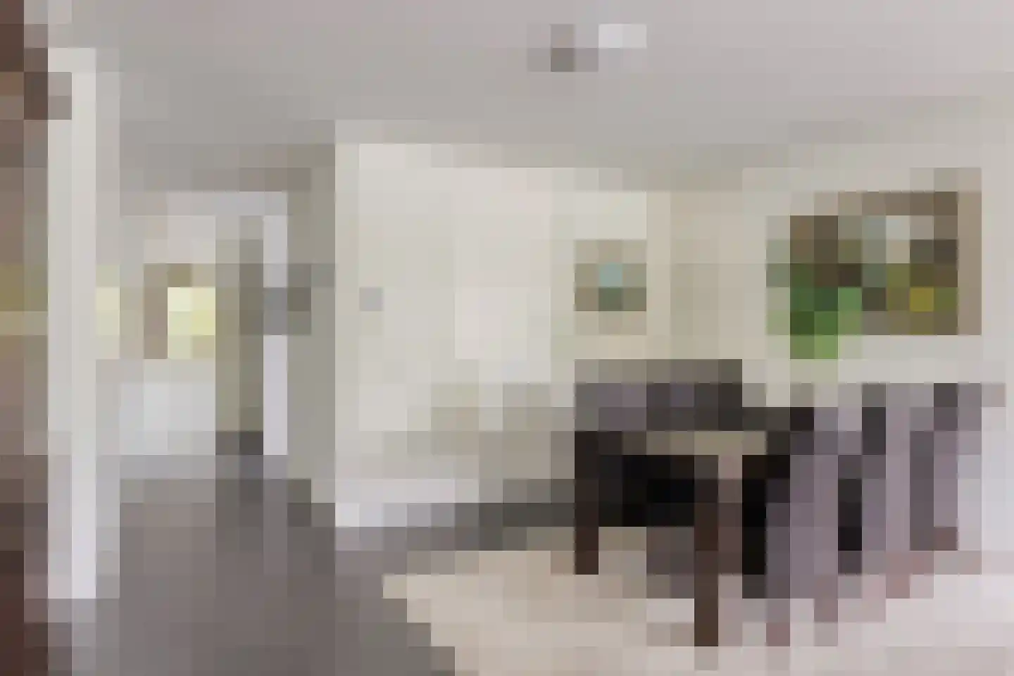 Piekenier 1 Lierop thumbnail 9