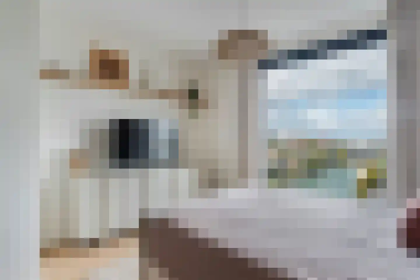 Piekstraat 209 Rotterdam thumbnail 42
