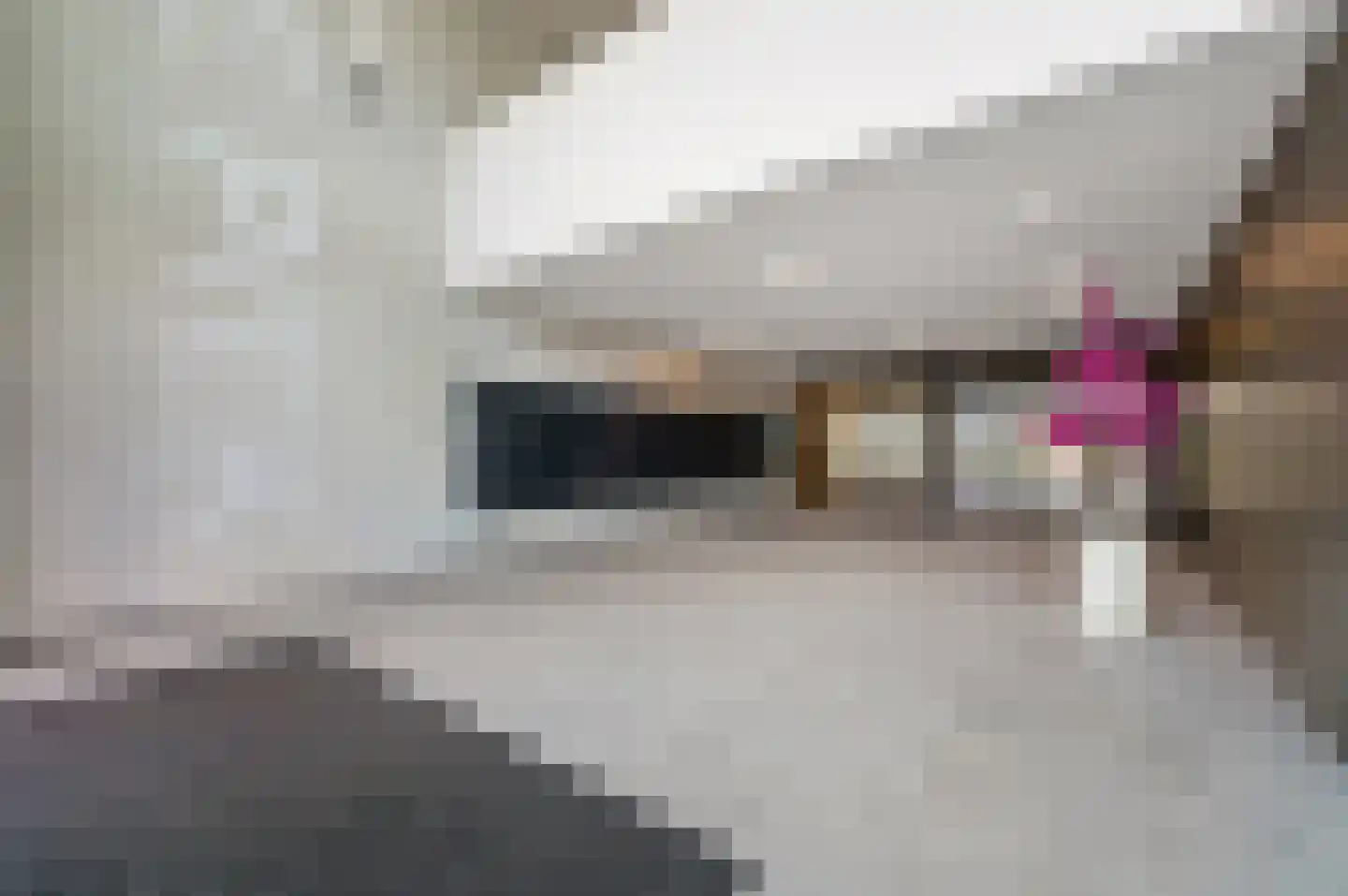 Piekstraat 357 Rotterdam thumbnail 35