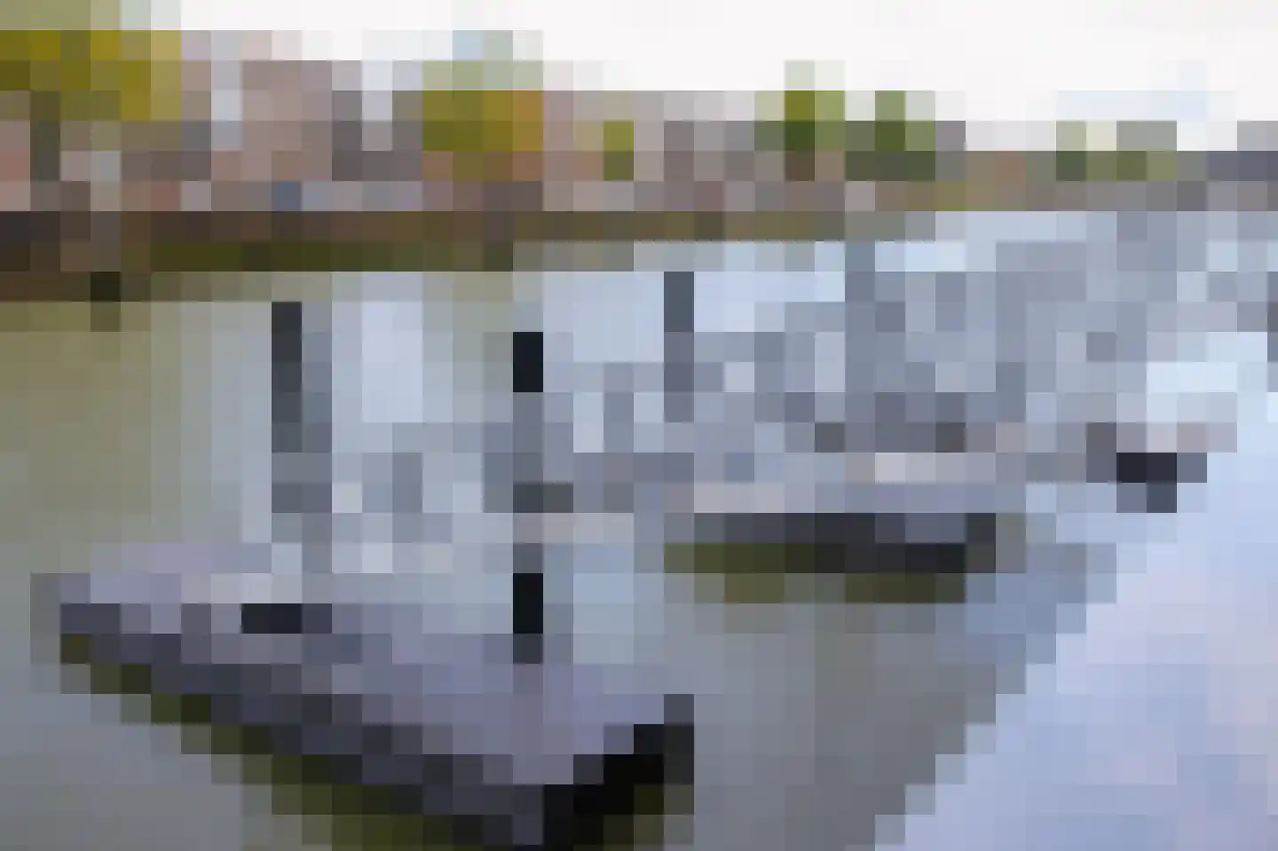 Piekstraat 383 Rotterdam thumbnail 16