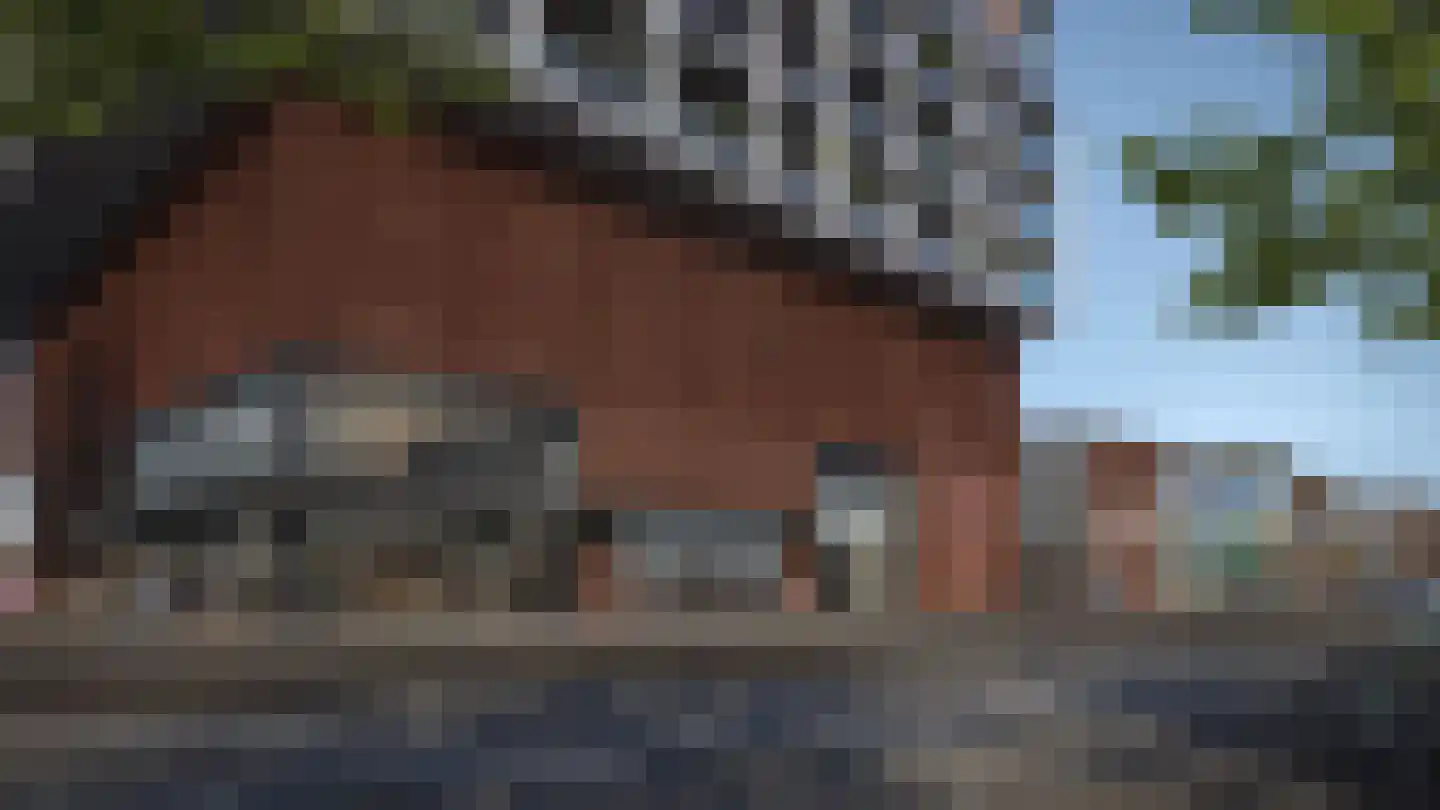 Piekstraat 385 Rotterdam thumbnail 11