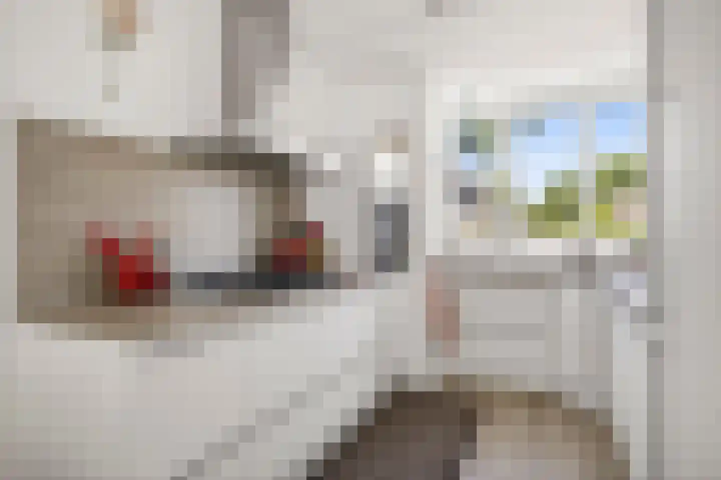 Pienemanstraat 120 Ede thumbnail 12