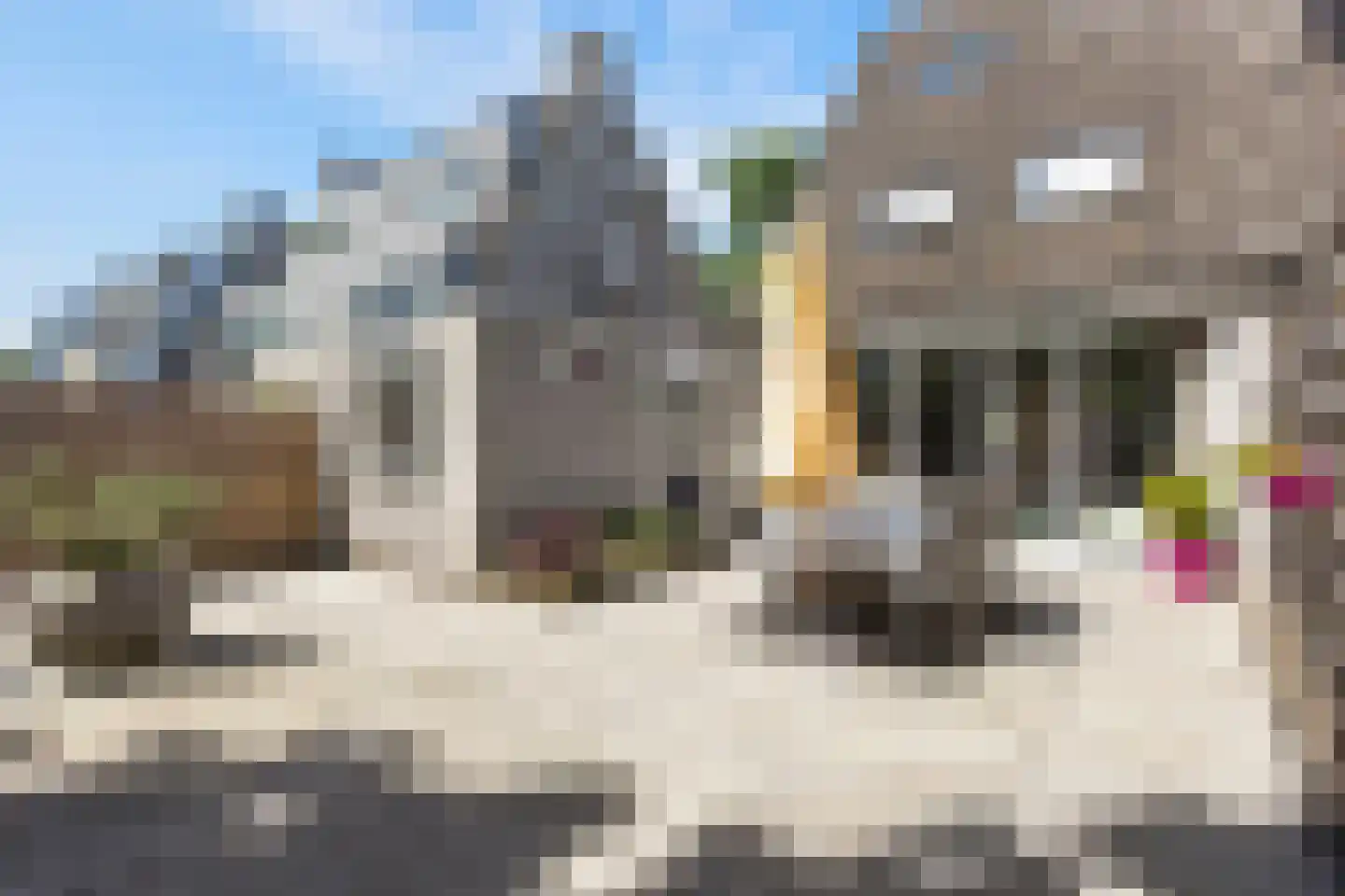 Pienemanstraat 120 Ede thumbnail 38