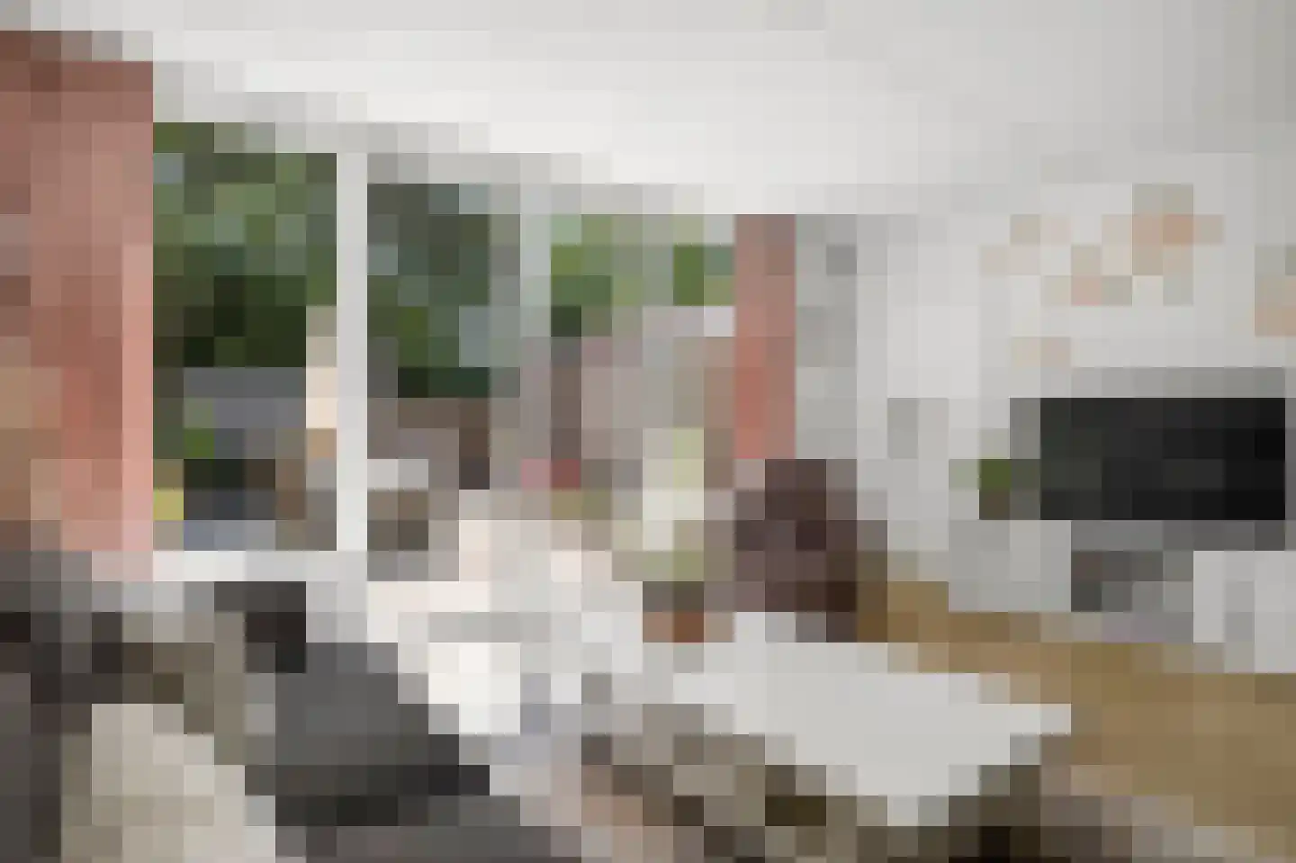 Pienemanstraat 120 Ede thumbnail 7