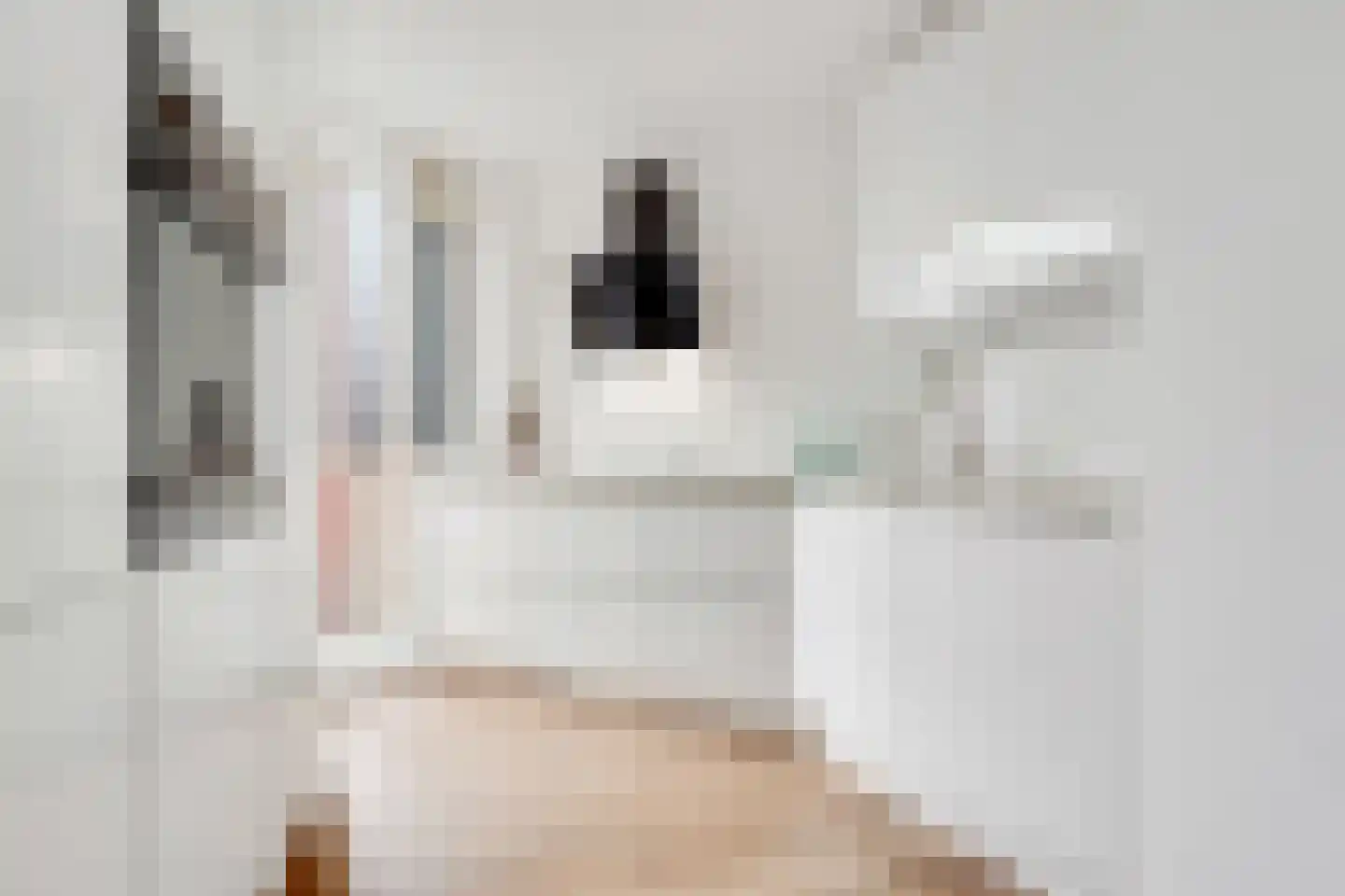 Pienemanstraat 23 Amsterdam thumbnail 10
