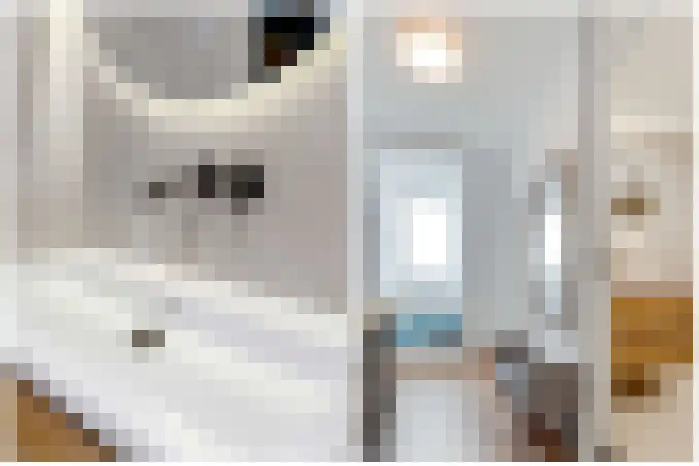 Pienemanstraat 23 Amsterdam thumbnail 21