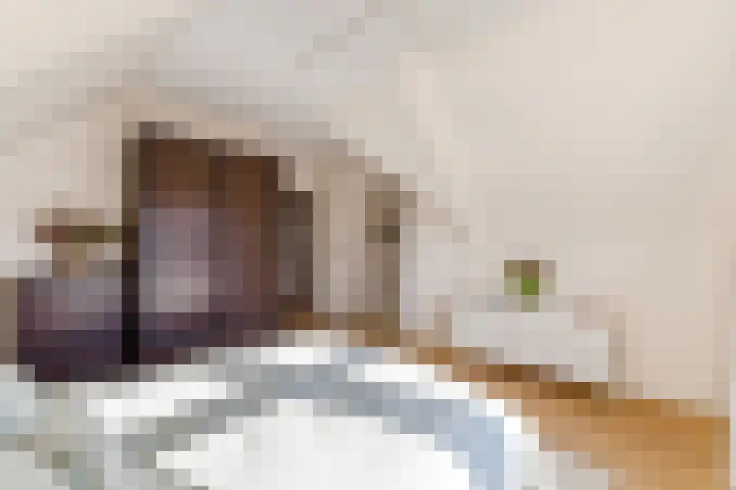 Pienemanstraat 44 Amsterdam thumbnail 18