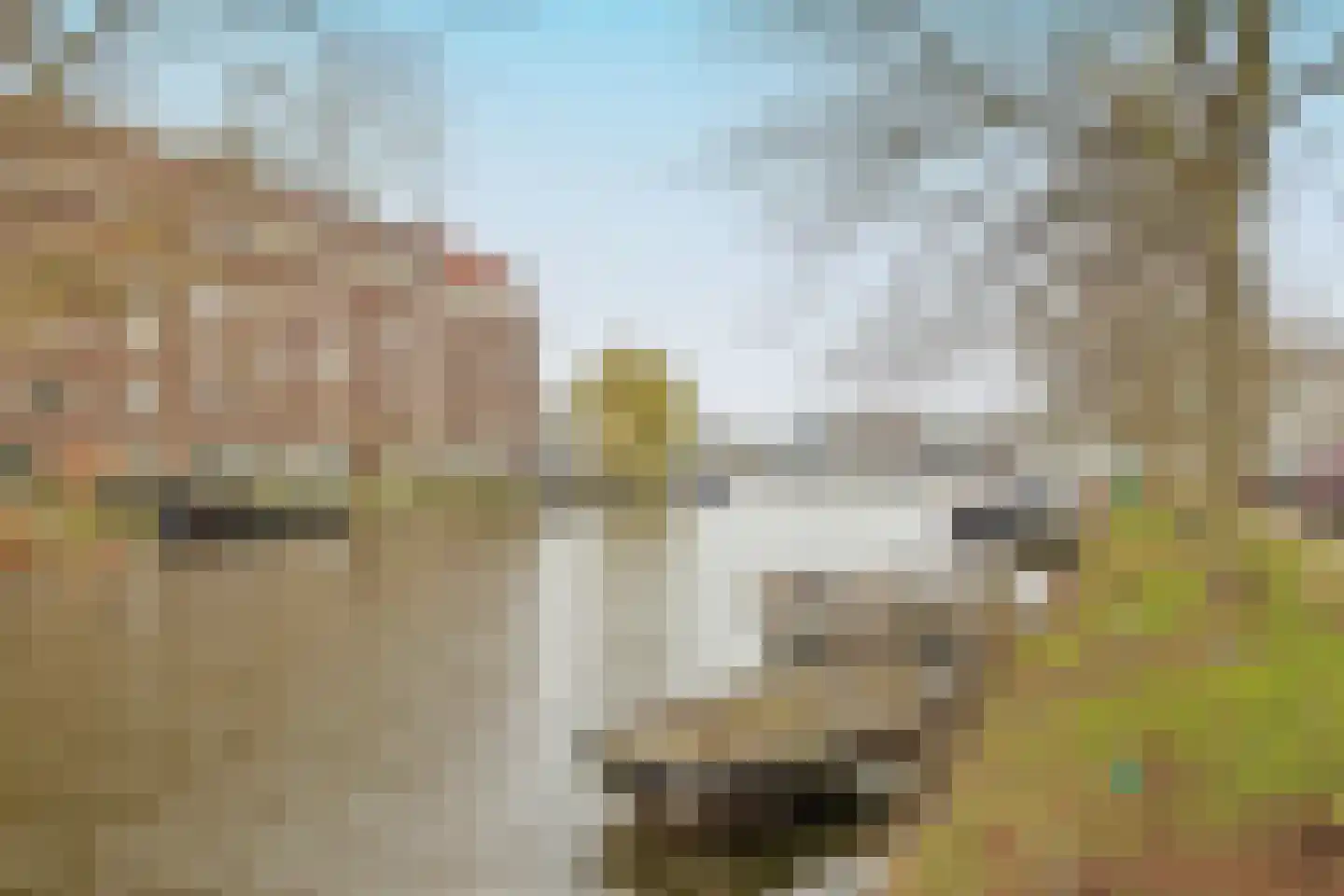 Pienemanstraat 44 Amsterdam thumbnail 23