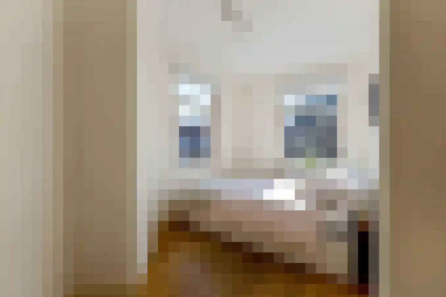 Pienemanstraat 44 Amsterdam thumbnail 4