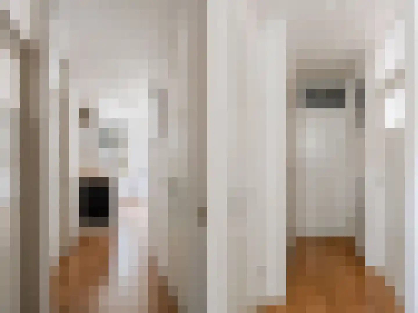 Pienemanstraat 51 Amsterdam thumbnail 20