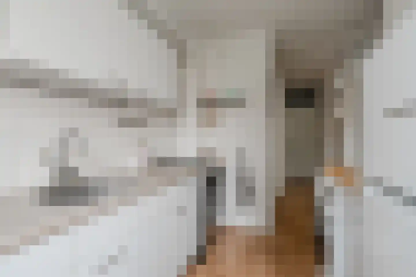 Pienemanstraat 51 Amsterdam thumbnail 22