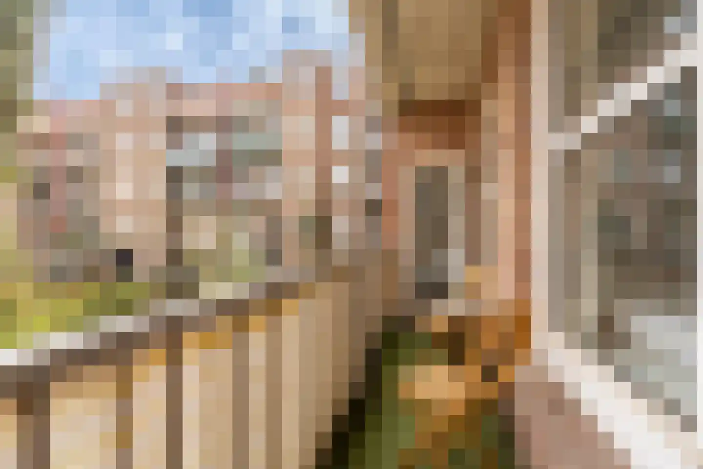 Pienemanstraat 51 Amsterdam thumbnail 26