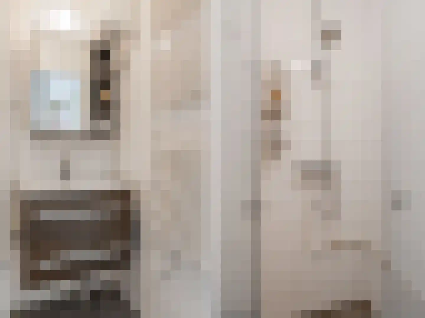 Pienemanstraat 51 Amsterdam thumbnail 27