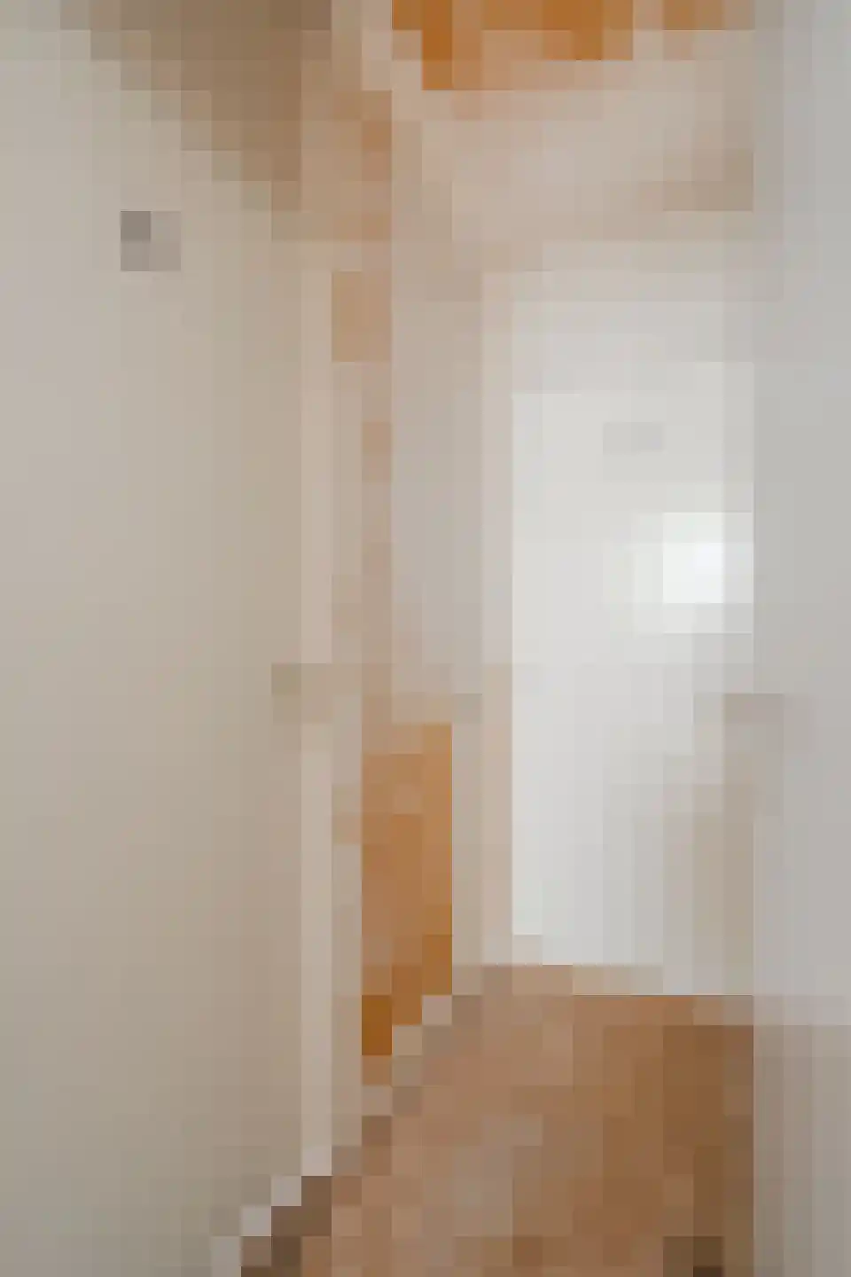 Pienemanstraat 51 Amsterdam thumbnail 30
