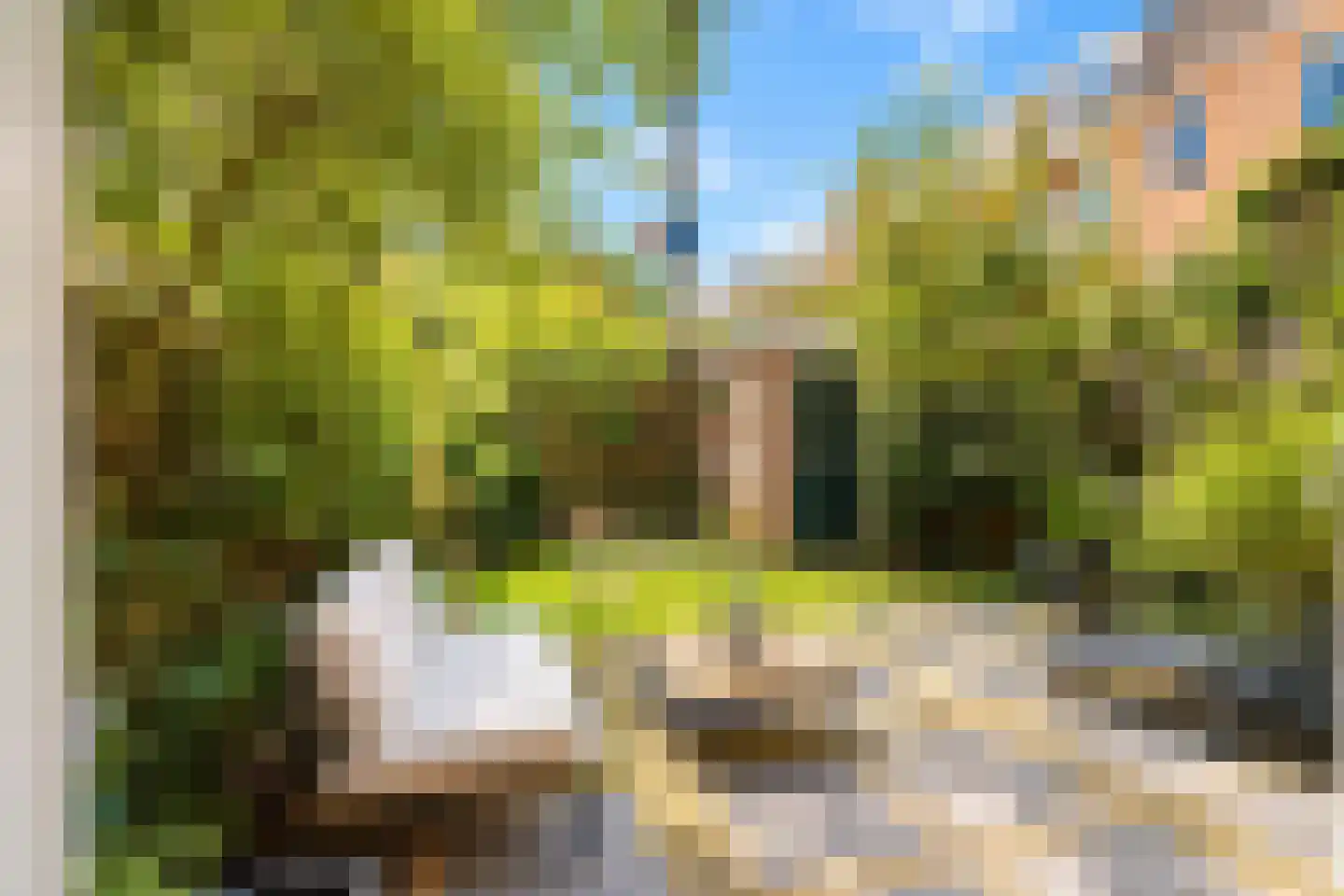 Pienemanstraat 68 Amsterdam thumbnail 5