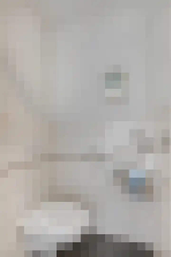 Pienemanstraat 71 Ede thumbnail 12
