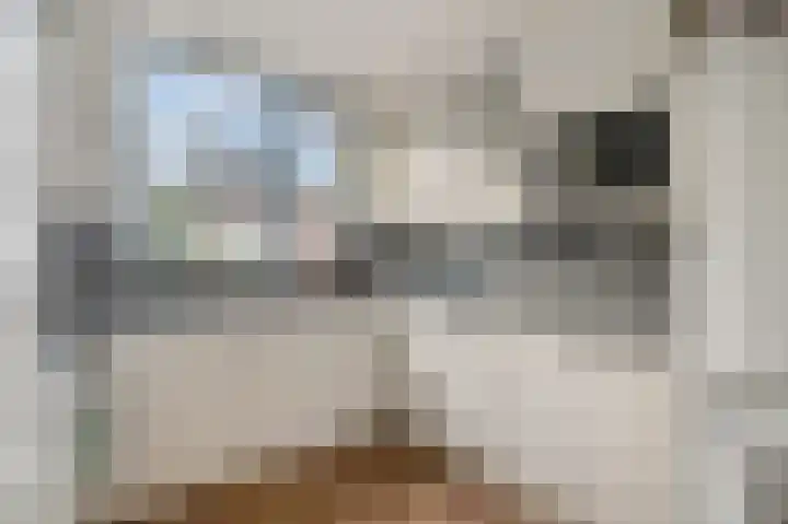 Pienemanstraat 8 Ede thumbnail 7