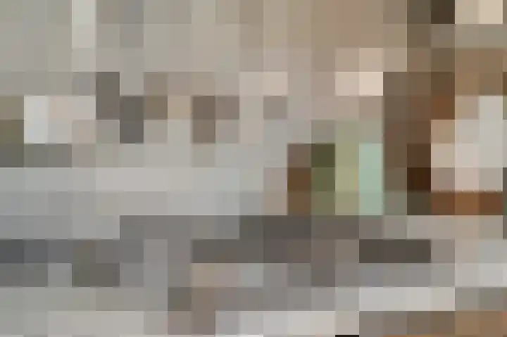 Pienemanstraat 8 Ede thumbnail 9