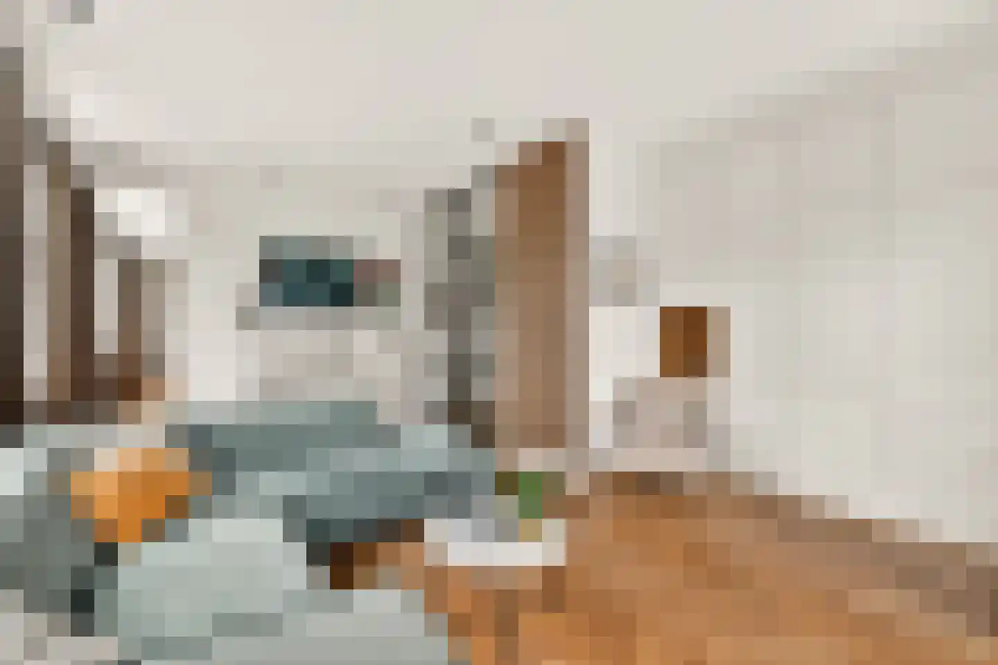 Pienemanstraat 86 Amsterdam thumbnail 10