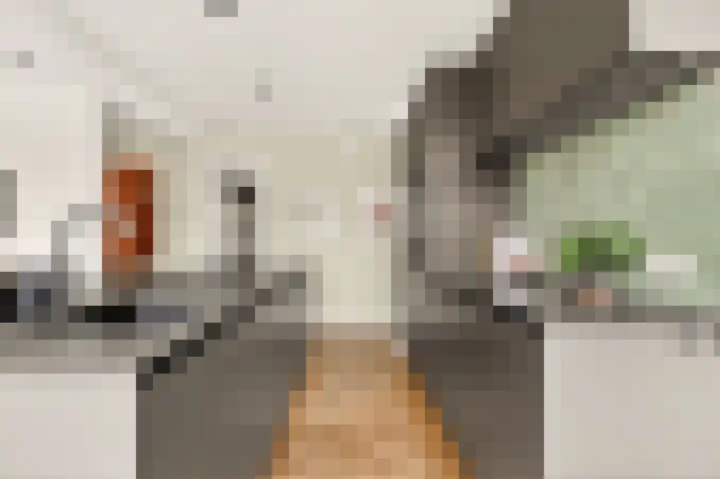 Pienemanstraat 86 Amsterdam thumbnail 16