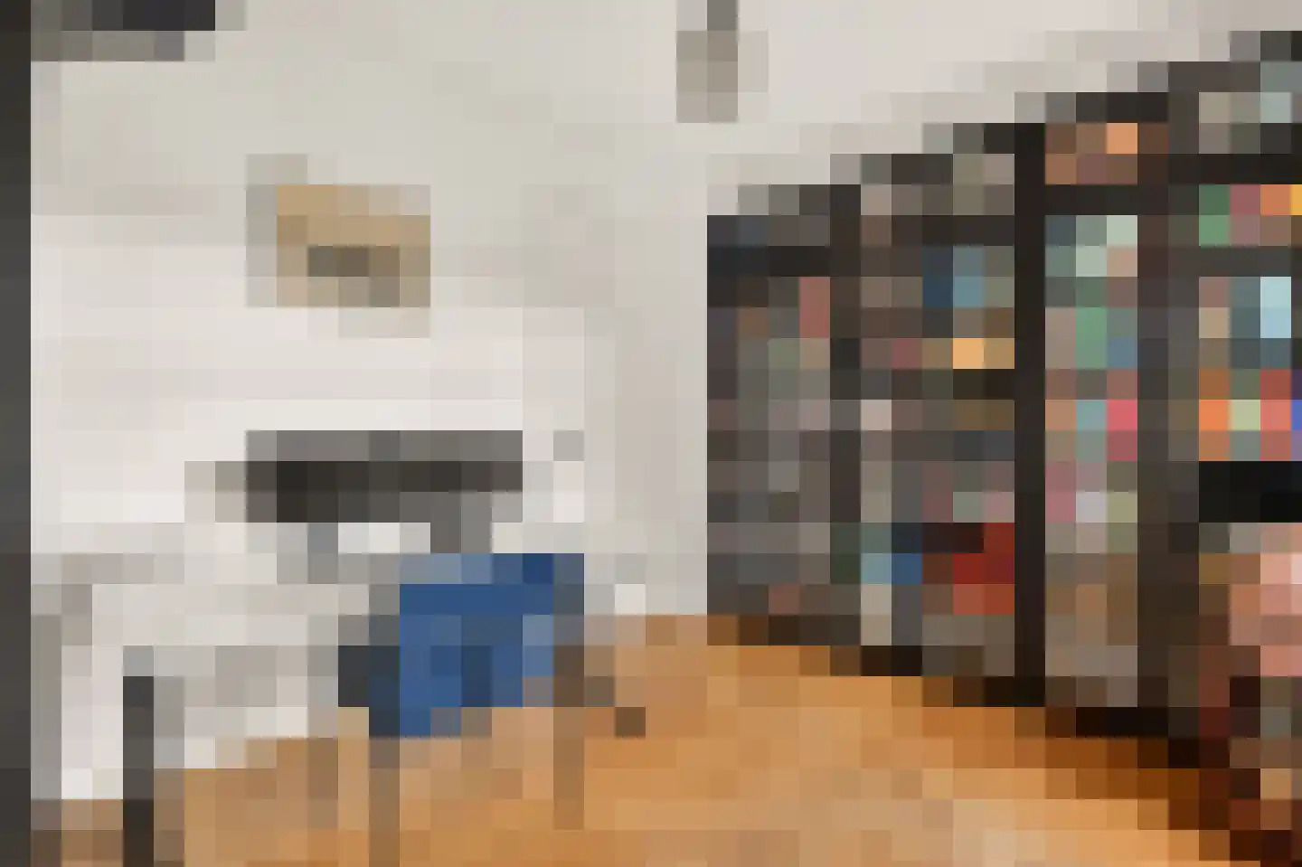 Pienemanstraat 86 Amsterdam thumbnail 5