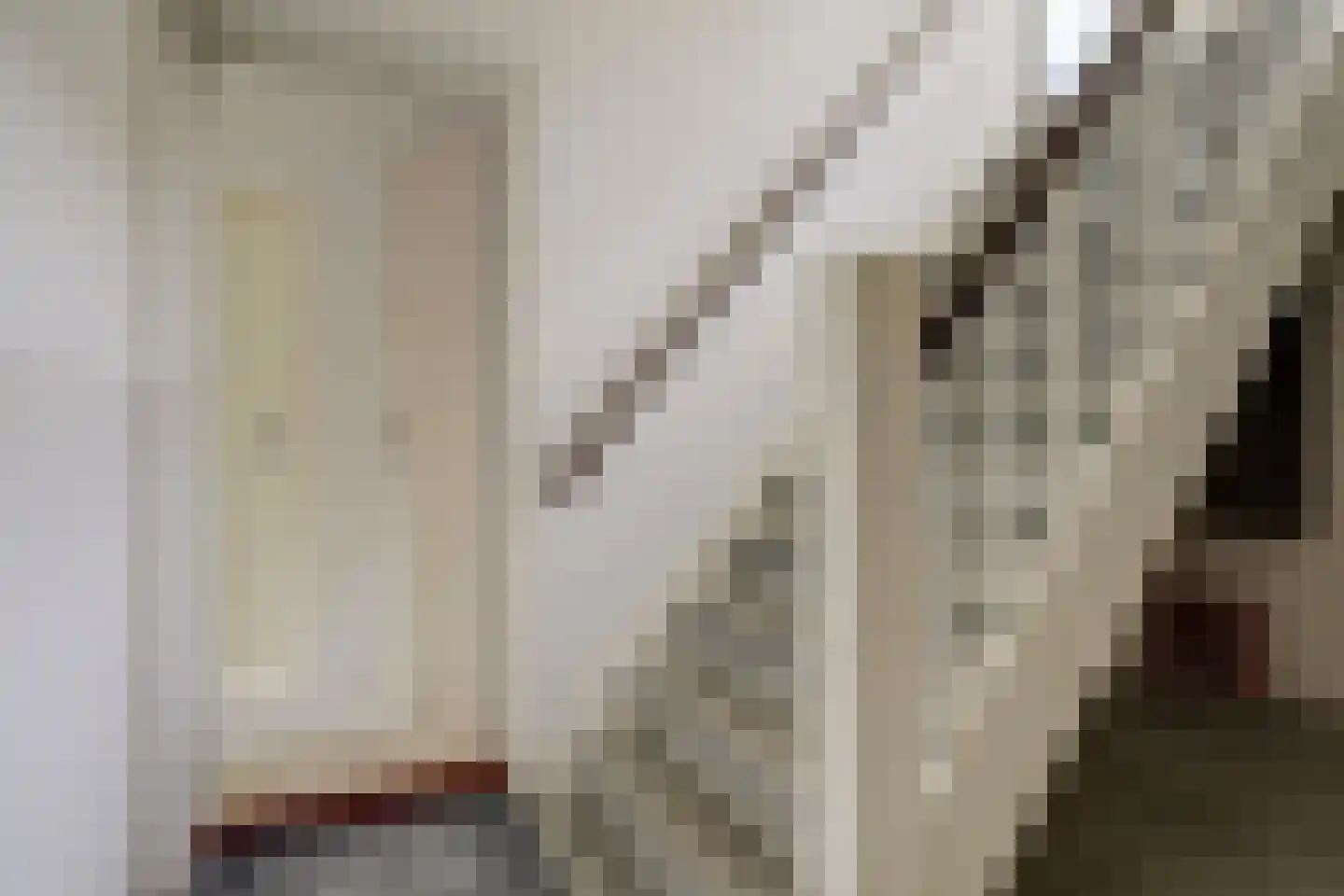 Pienemanstraat 9 Amsterdam thumbnail 9