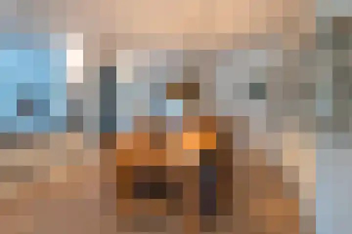 Piepenbrocklaan 4 Waalre thumbnail 11