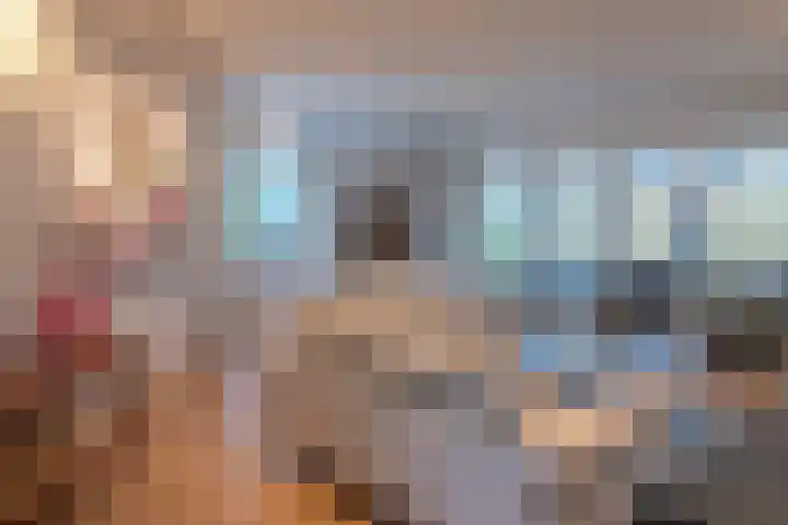 Piepenbrocklaan 4 Waalre thumbnail 14