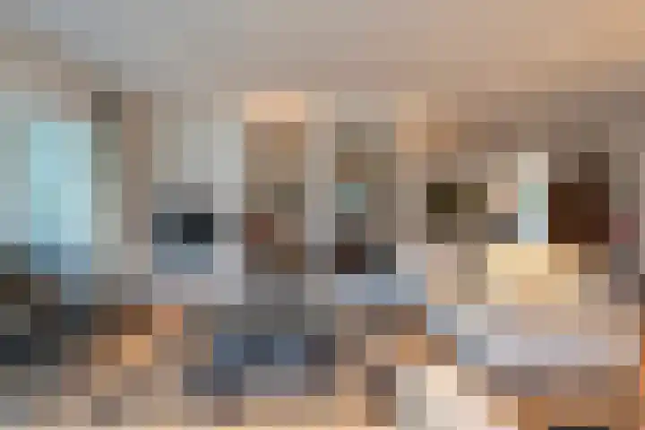 Piepenbrocklaan 4 Waalre thumbnail 15