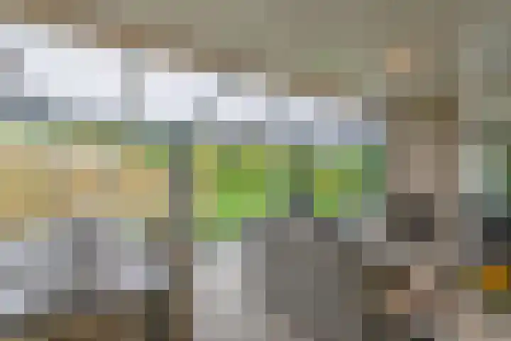 Piepenbrocklaan 4 Waalre thumbnail 17