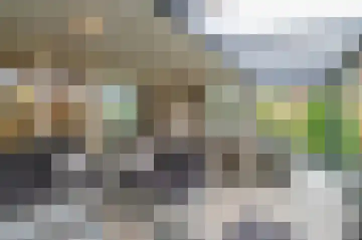 Piepenbrocklaan 4 Waalre thumbnail 18