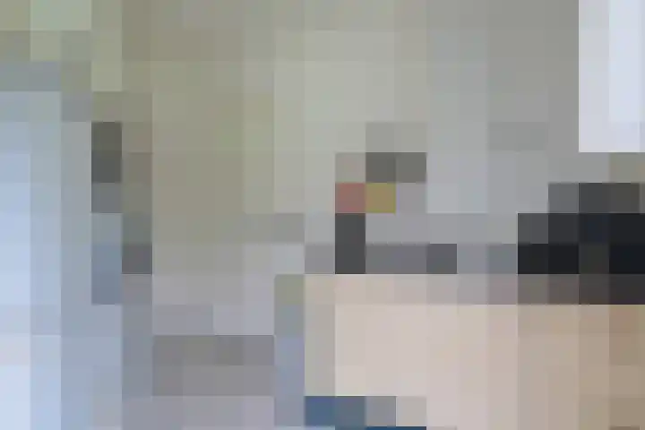 Piepenbrocklaan 4 Waalre thumbnail 19