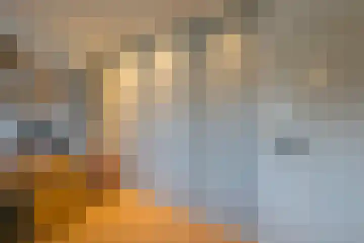 Piepenbrocklaan 4 Waalre thumbnail 30