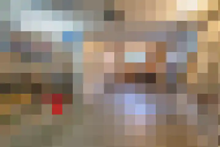 Piepenbrocklaan 4 Waalre thumbnail 34