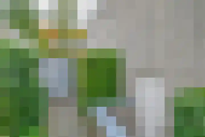 Piepenbrocklaan 4 Waalre thumbnail 35